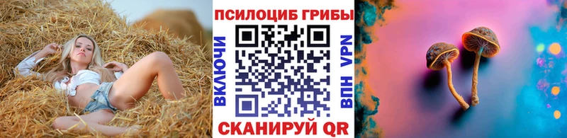 Псилоцибиновые грибы GOLDEN TEACHER  Кондопога 